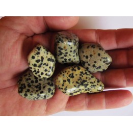pierre roulée : jaspe dalmatien