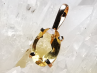 Pendentif : CITRINE