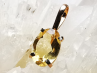 Pendentif : CITRINE
