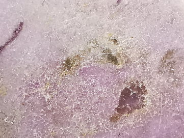 Pendant: PHOSPHOSIDERITE