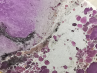 Pendant: PHOSPHOSIDERITE