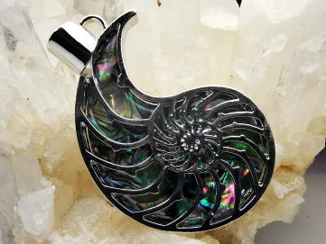 Pendentif : AMMONITE en nacre