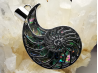 Pendentif : AMMONITE en nacre