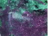 Pendentif : Rubis dans ZOISITE