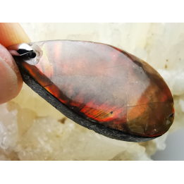 Pendentif : NACRE d'ammonite