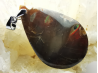 Pendentif : NACRE d'ammonite