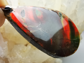 Pendant: Ammonite mother-of-pearl