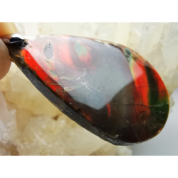Pendentif : NACRE d'ammonite
