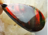 Pendant: Ammonite mother-of-pearl