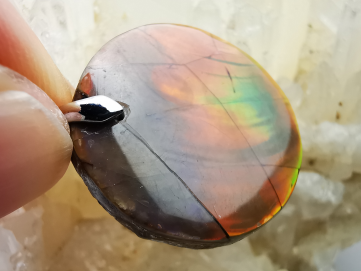Pendentif : NACRE d'ammonite