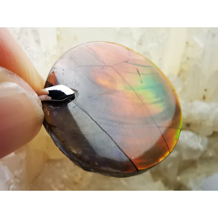 Pendentif : NACRE d'ammonite
