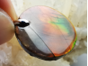 Pendentif : NACRE d'ammonite