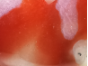 Pendant: CHALCEDONY carnelian