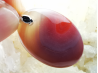 Pendant: CHALCEDONY carnelian