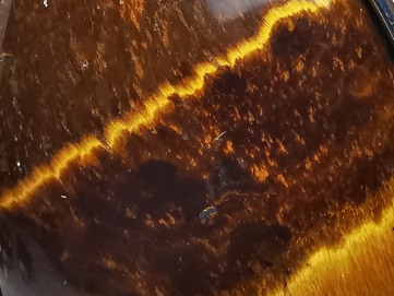 Pendentif : OEIL de TIGRE