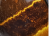 Pendentif : OEIL de TIGRE