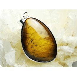 Pendentif : OEIL de TIGRE