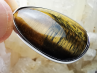 Pendentif : OEIL de TIGRE