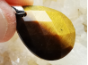 Pendentif : OEIL de TIGRE