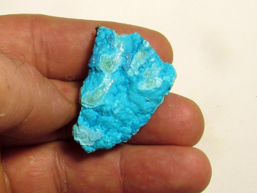 Chrysocolle Congo