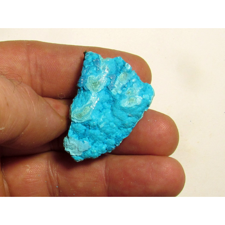 Chrysocolle Congo