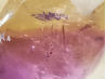 Pendentif : AMETRINE