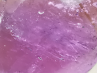 Pendentif : AMETRINE