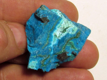 Chrysocolle Congo