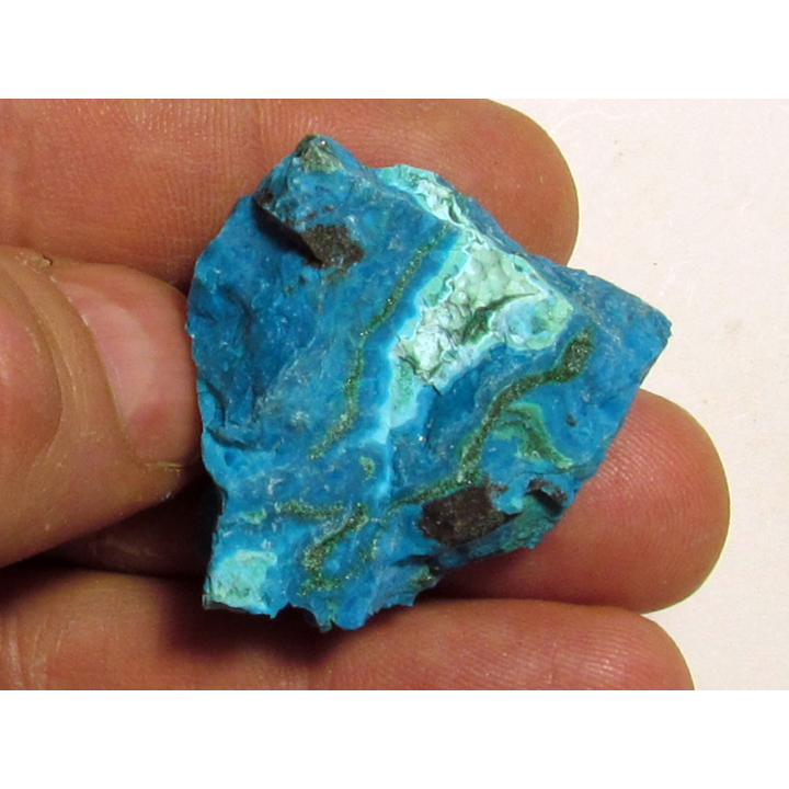 Chrysocolle Congo