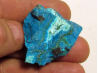 Chrysocolle Congo