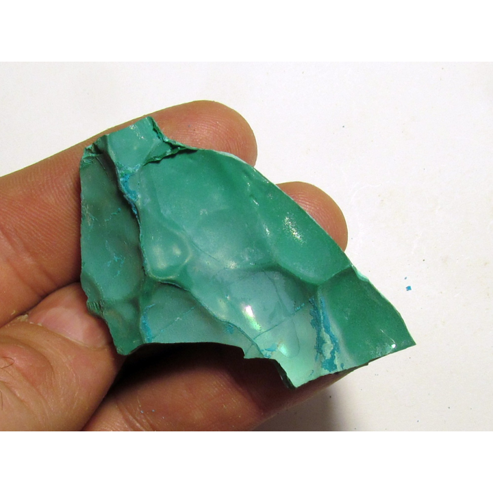 Chrysocolle Congo