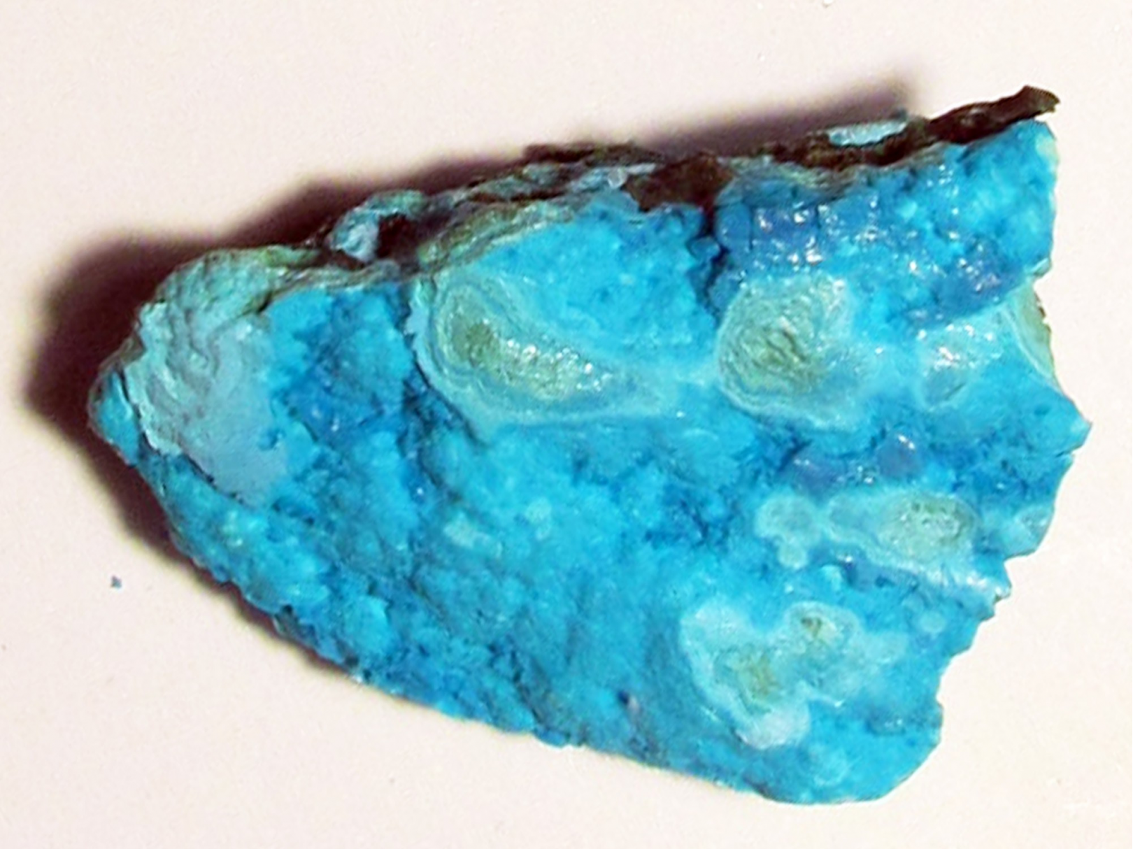 Chrysocolle Congo