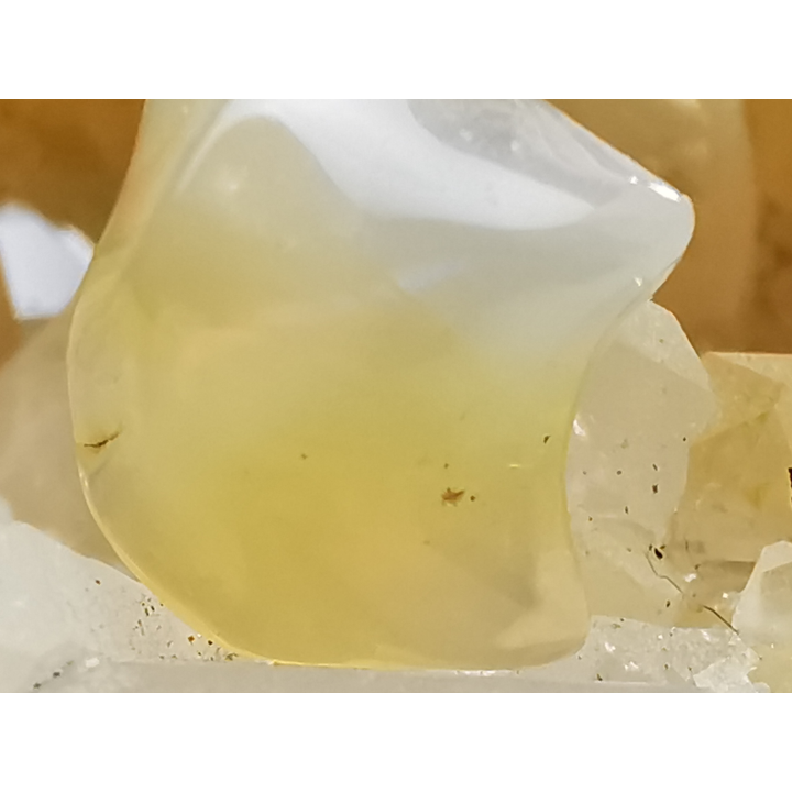 Pendant: OPAL