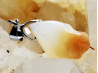 Pendant: OPAL
