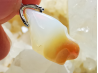 Pendant: OPAL