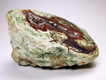 Lithophyse from the Esterel Massif (Var), France