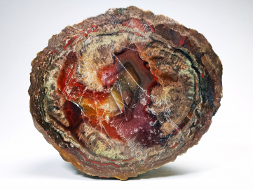 Lithophyse from the Esterel Massif (Var), France