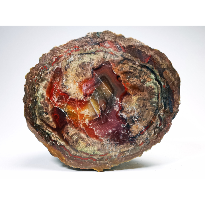 Lithophyse from the Esterel Massif (Var), France