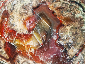 Lithophyse from the Esterel Massif (Var), France