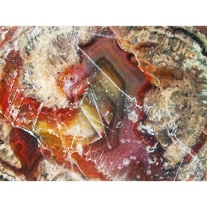 Lithophyse from the Esterel Massif (Var), France