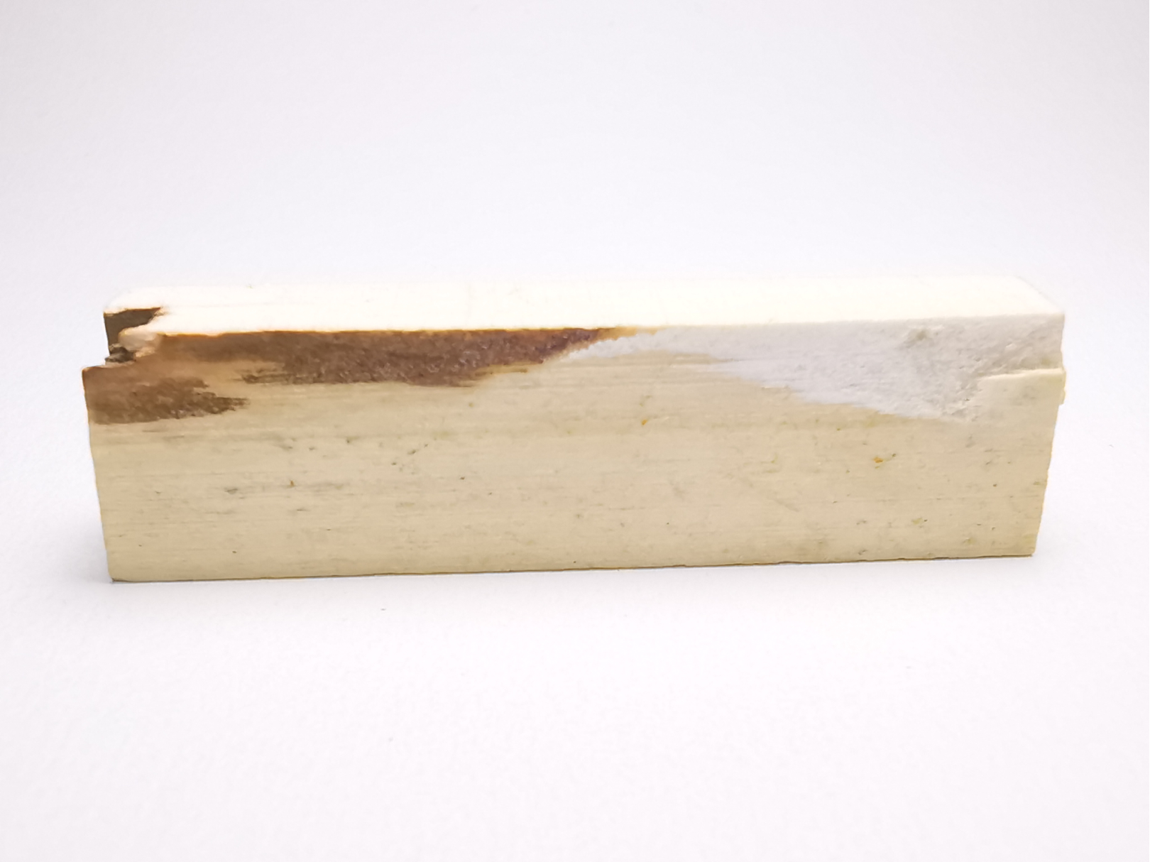 Mammoth ivory - Alaska, USA