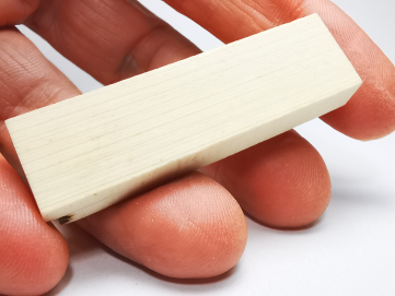 IVOIRE DE MAMMOUTH - Alaska, USA