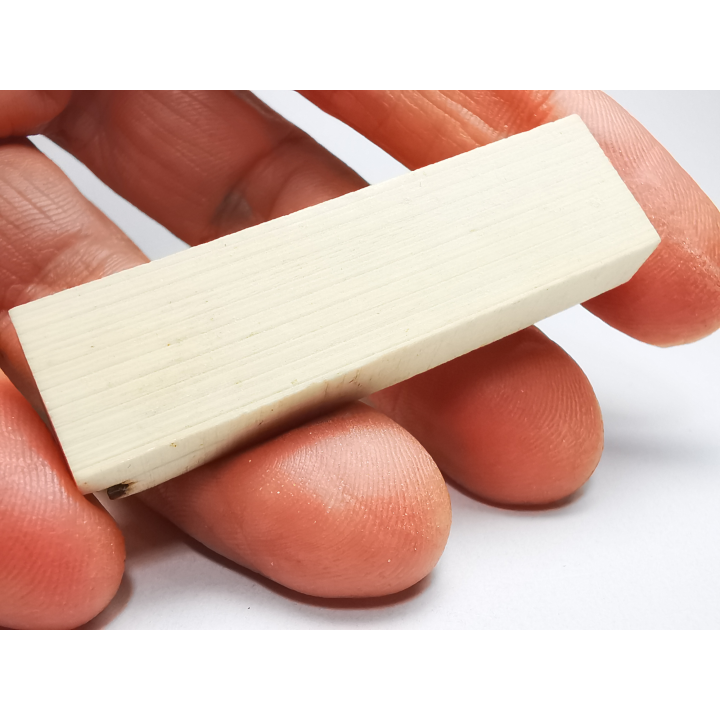 Mammoth ivory - Alaska, USA