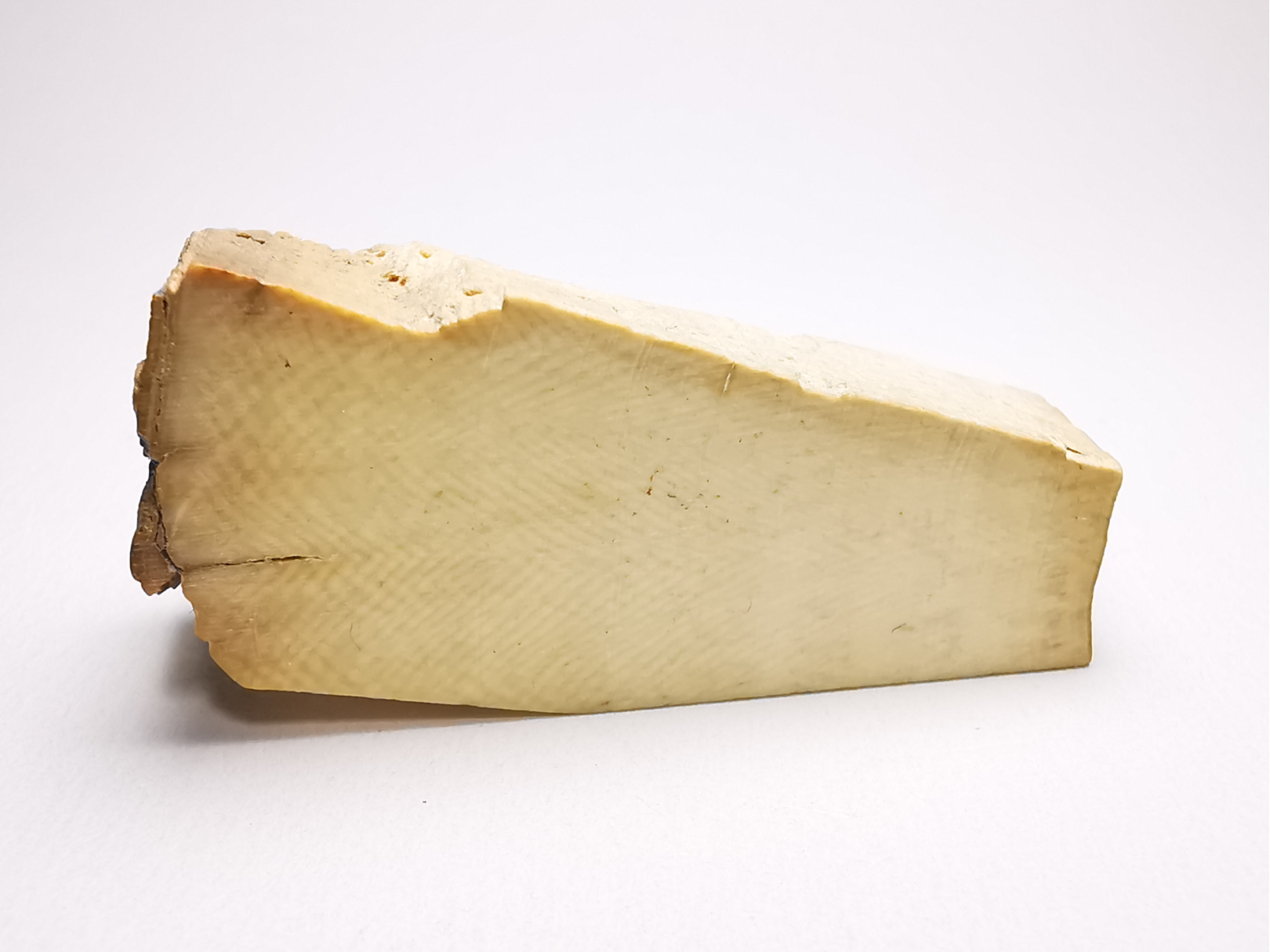 IVOIRE DE MAMMOUTH - Alaska, USA