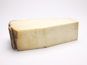 Mammoth ivory - Alaska, USA