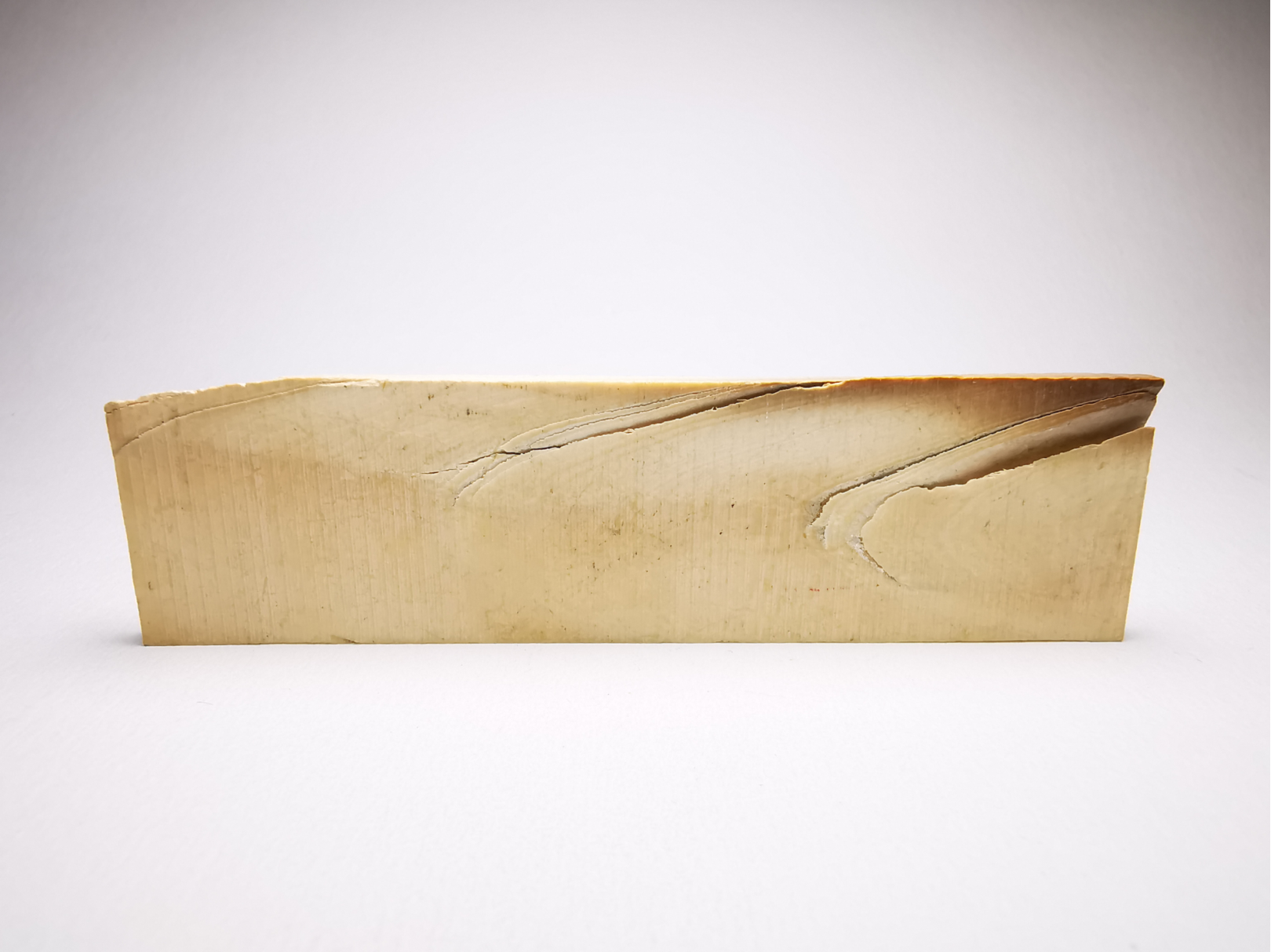 Mammoth ivory - Alaska, USA