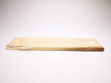 Mammoth ivory - Alaska, USA