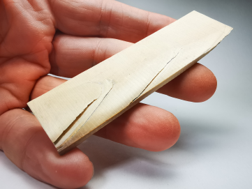 IVOIRE DE MAMMOUTH - Alaska, USA