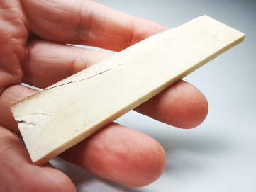 Mammoth ivory - Alaska, USA