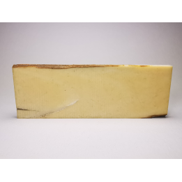 Mammoth ivory - Alaska, USA